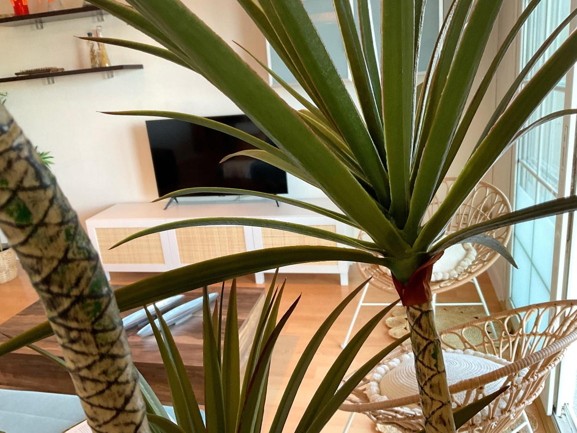 Ks Golf Playa - Kaleria Suites Almeria Ngoại thất bức ảnh
